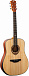 Акустическая гитара FLIGHT AD-555 NA