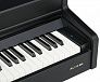 Цифровое пианино Aurora AU110-BK