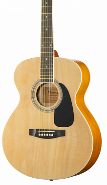 Акустическая гитара HOMAGE LF-4000