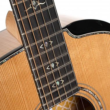 Электроакустика Cort Gold-Passion-WCASE-NAT