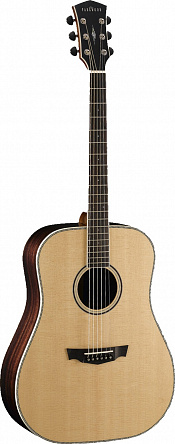 АКУСТИЧЕСКАЯ ГИТАРА CORT PW-510 NAT W_BAG