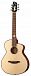 Акустическая гитара Mollo Guitar TM-12C