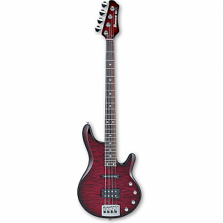 БАС-ГИТАРА IBANEZ RD500 BBS