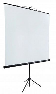 Экран Lumien Eco View LEV-100103