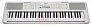 Синтезатор YAMAHA EZ-310