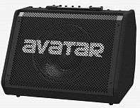 Комбоусилитель Avatar DM60