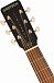 Акустическая гитара GRETSCH Jim Dandy Deltoluxe Parlor Black Top