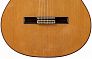 Классическая гитара Altamira N300+