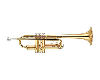 ТРУБА С КЕЙСОМ J.MICHAEL TR-200