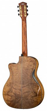 Электроакустика Cort Gold-Edge-WCASE-NAT