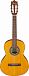 Классическая гитара IBANEZ GA2-OAM