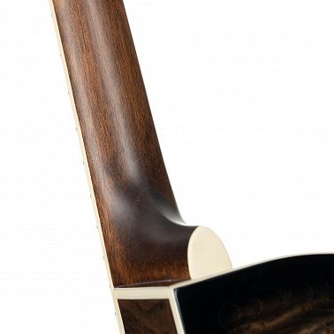 Электроакустика Cort Exotic-SFX-Ash-BK