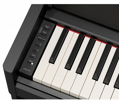 Цифровое пианино YAMAHA YDP-S56B Arius