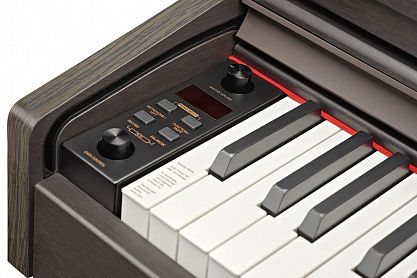 Цифровое пианино Becker BDP-82R