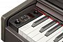 Цифровое пианино Becker BDP-82R