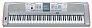 СИНТЕЗАТОР YAMAHA DGX-505