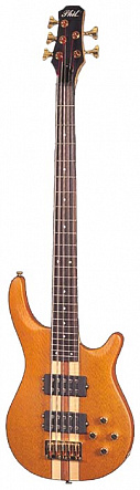 БАС-ГИТАРА PHIL PRO PBM-59T