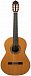 Классическая гитара Altamira N400+Case