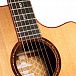 Электроакустика CORT Gold-A10-Cocobolo-WCASE-NAT