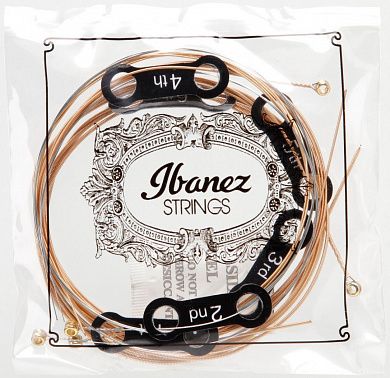 Струны IBANEZ IACSP61C