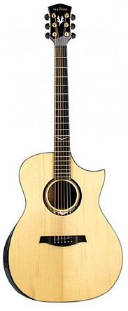 Электроакустика Parkwood GA680TAK-WCASE-NAT