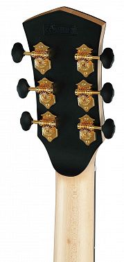 Электроакустика Cort Gold-Passion-WCASE-NAT