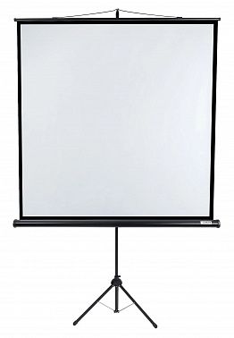 Экран Lumien Eco View LEV-100105