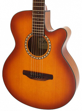 Акустическая гитара ARIA TG-1 LVS