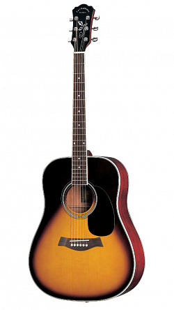 АКУСТИЧЕСКАЯ ГИТАРА ROCKSON DG-2