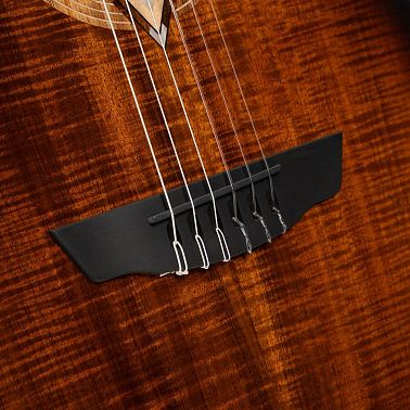 Электроакустика CORT LUXE-NYLON-II-WCASE-BKB