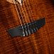 Электроакустика CORT LUXE-NYLON-II-WCASE-BKB