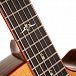 Электроакустика CORT Gold-A10-Cocobolo-WCASE-NAT