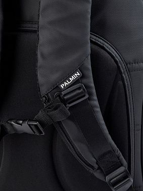 Чехол PALMIN GC City Acoustic