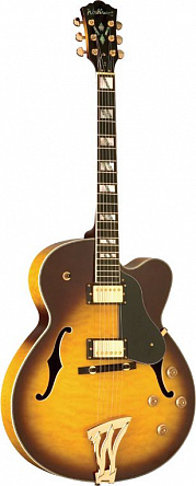 ПОЛУАКУСТИЧЕСКАЯ ГИТАРА WASHBURN J5TS