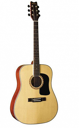 АКУСТИЧЕСКАЯ ГИТАРА WASHBURN D9(N)