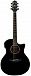 Электроакустика CRAFTER HG-250CE/BK