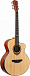 Акустическая гитара FLIGHT AGAC-555 NA