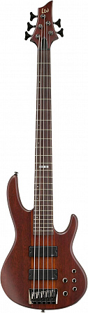 БАС-ГИТАРА LTD D-5/NS