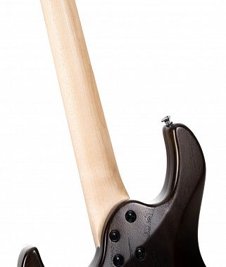 Электрогитара Cort G100-HH-OPW