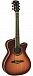 Электроакустика EKO ONE 018 CW EQ Vintage Burst