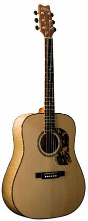 АКУСТИЧЕСКАЯ ГИТАРА WASHBURN D12SMELKNAT