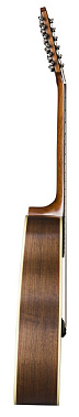 12 струнная гитара BATON ROUGE X34S/D-12