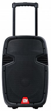 Акустическая система Leem PR-12HR