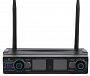 Радиосистема Soundsation WF-D290HH