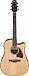 Электроакустика IBANEZ AAD51CE-NT
