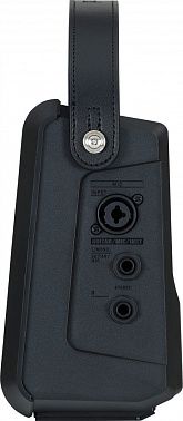 Комбоусилитель ROLAND CUBE-ST-MINI