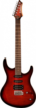 ЭЛЕКТРОГИТАРА WASHBURN RX20F-WSB