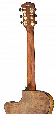 Электроакустика Cort Gold-Edge-WCASE-NAT