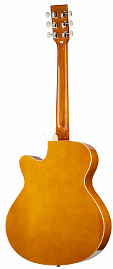 Акустическая гитара HOMAGE LF-401C-N