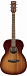 Акустическая гитара IBANEZ PC18MH-MHS